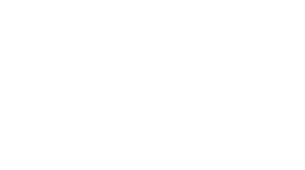 Birchstreet systems